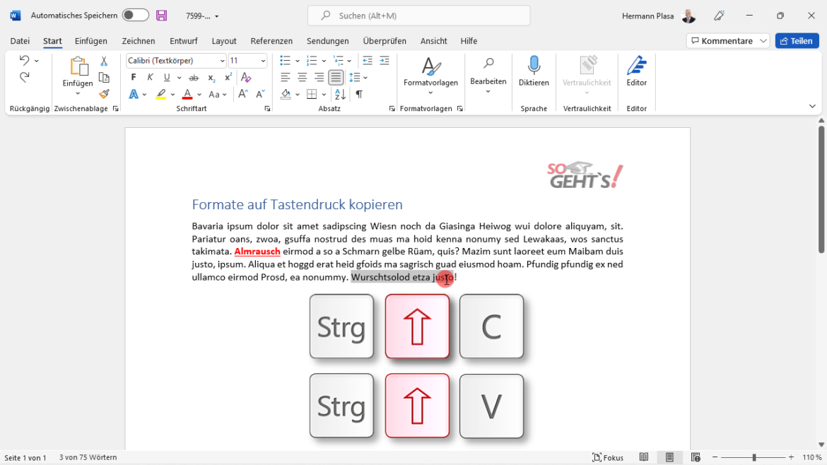 Office 365 - Formate per Tastatur kopieren und einfügen